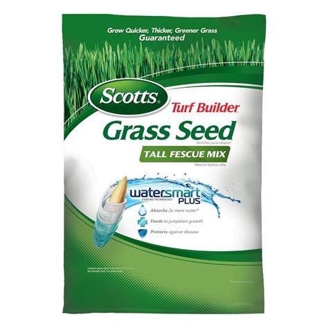 Achieving the Perfect Lawn with Dark Spell Turf Grass Seed: A Step-by-Step Guide